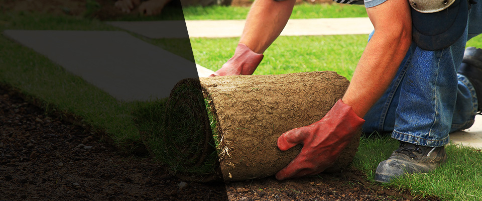 Detroit Lakes Landscapers